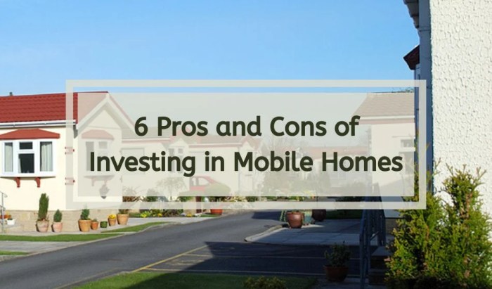 Voice Control in Smart Homes: Pros and Cons