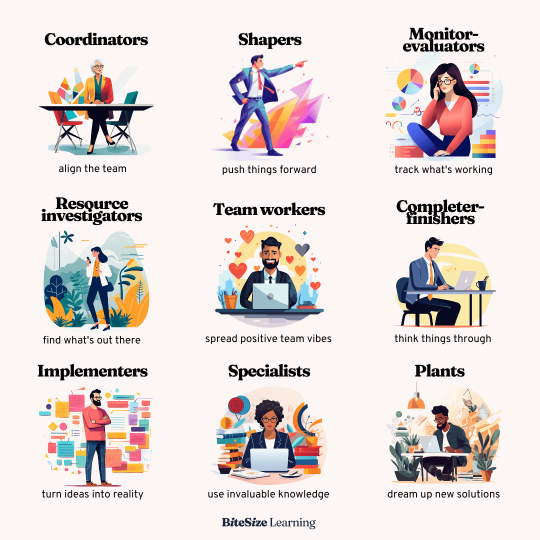 The 9 Belbin Team Roles, explained | Models for managers — BiteSize ...
