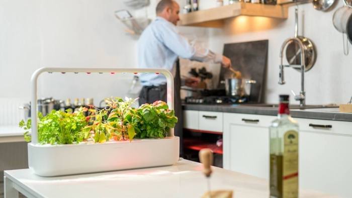Smart Garden - Instructables How to Make Your Garden a Smart Outdoor Space