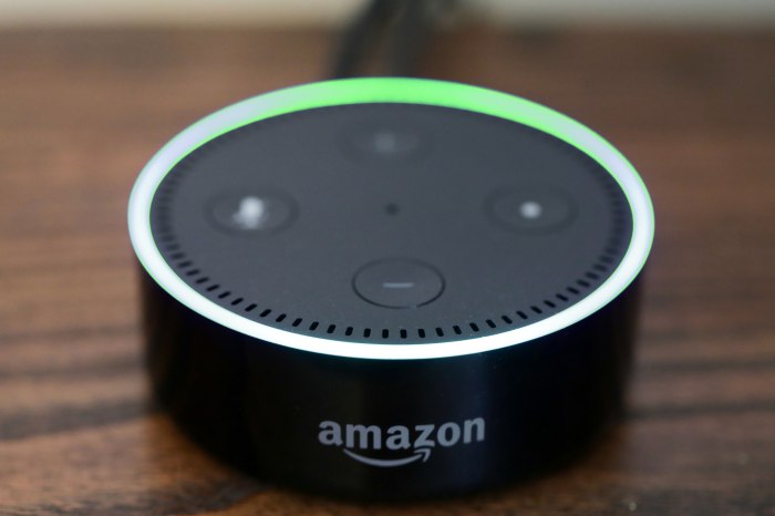 Best Buy: Amazon Echo Dot (3rd Gen) Smart Speaker with Alexa Charcoal ...