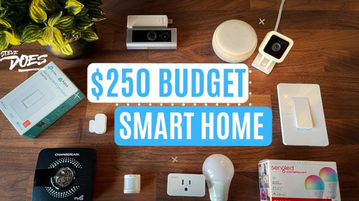 How to Build a Smart Home for Under $500